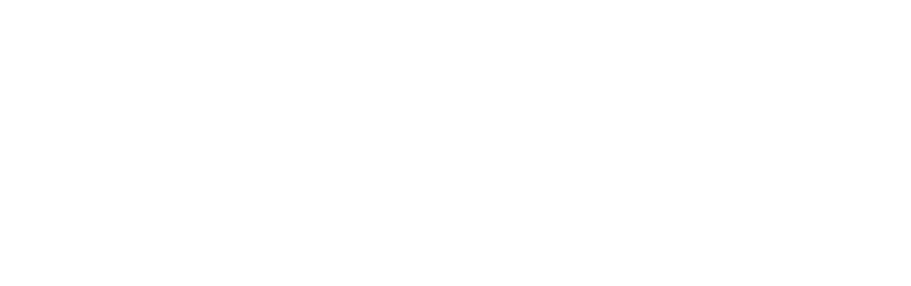 zable logo light transparent